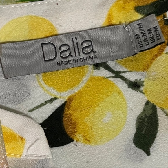 Dalia Lemon Button Down Top Size Medium with Kim Rogers Dangle Earrings - Picture 14 of 14